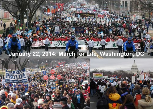 2014_01 22 March for Life montage