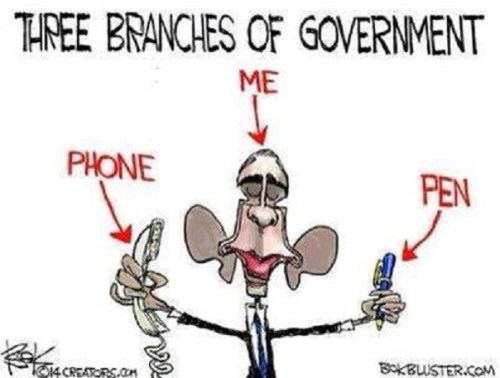 2014_01 BHO's 3 branches of government