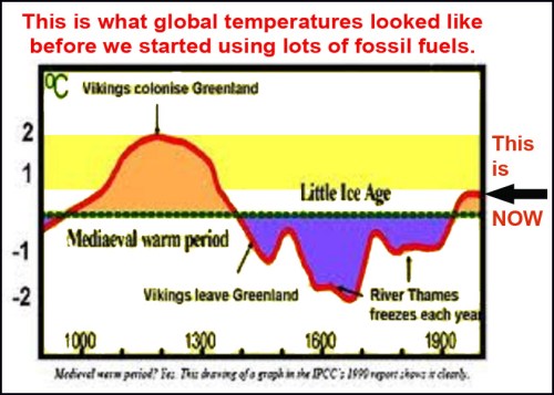 Climate graph accepted by everyone BEFORE AGW politics happened