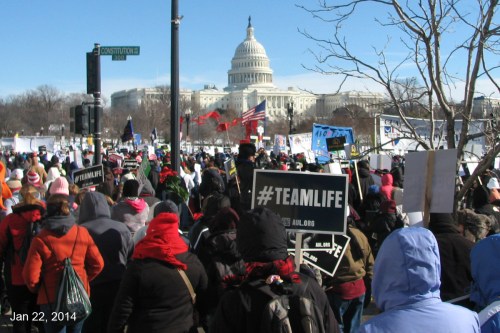 IMG_7561 Marchers and Capitol