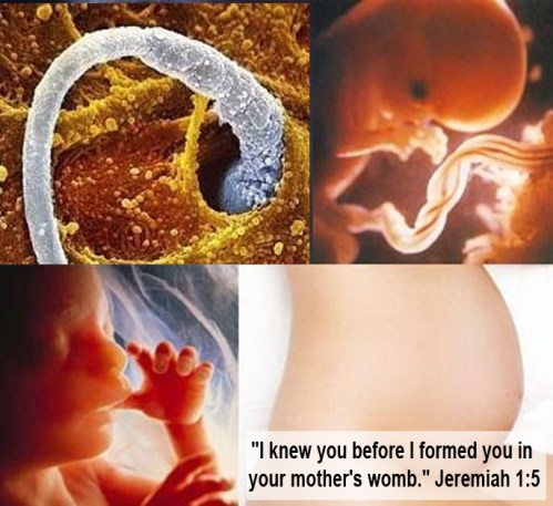 Jeremiah 1-5 I knew you before