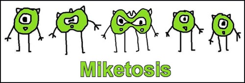 Miketosis