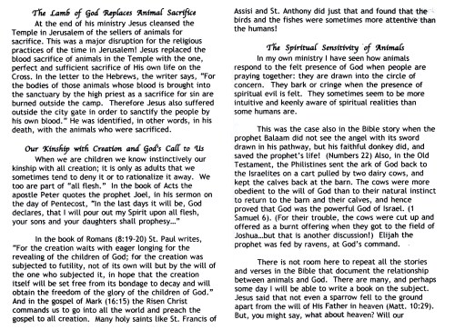 02 Do our pets go to Heaven