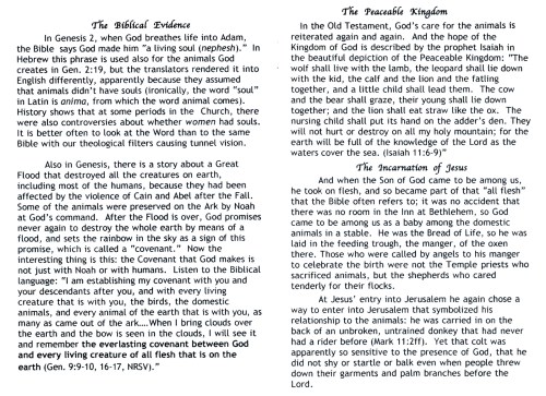 04 Do our pets go to Heaven