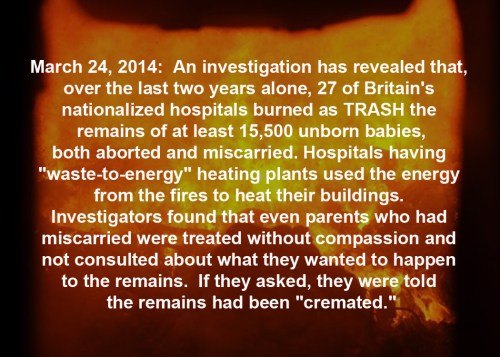 2014_03 24 UK hospitals burn babies as trash