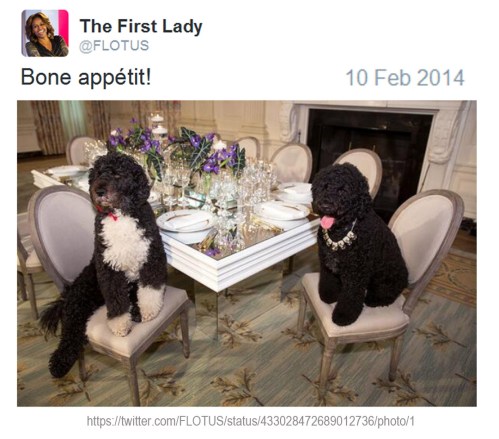 2014_02 10 WH dogs eating rich