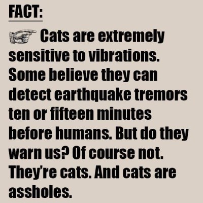 CATS earthquakes