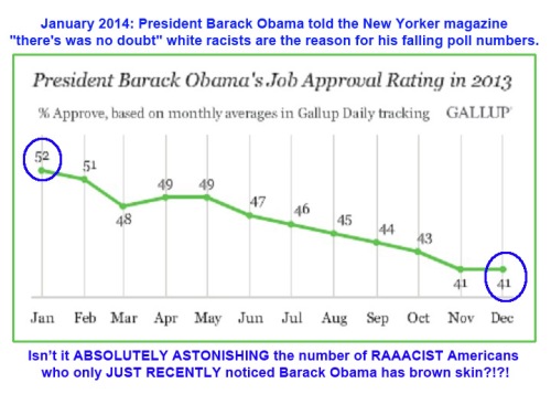 2013 GALLUP BHO approval drop