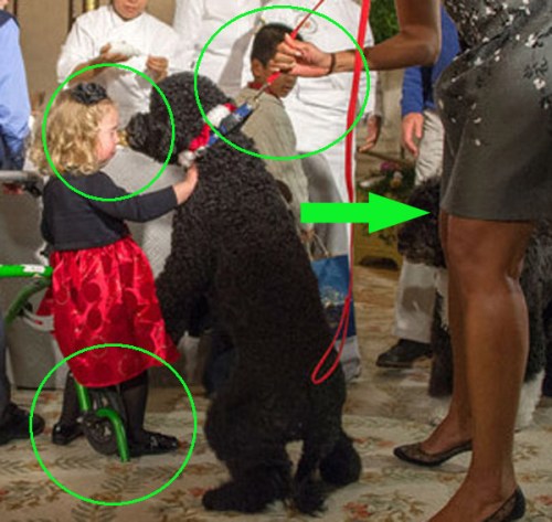 2013_12 05 Sunny Obama knocks down 2 year old cut