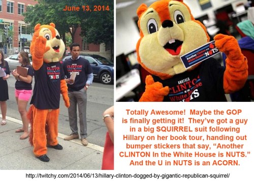 2014_06 13 Squirrel following Hillary's book tour