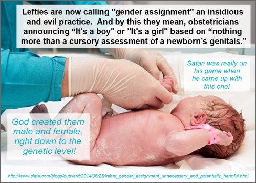 2014_06 26 Slate says gender assignment is evil