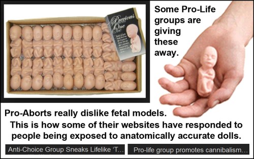 ABORTION Pro-Life fetus model give away enrages Pro-Aborts