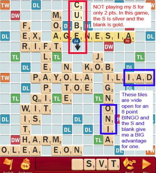 SCRABBLE tips S and Blank