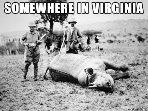 Somewhere in Virginia