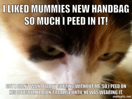 tumblr_mlgfjrGYMQ1rezbgzo1_500