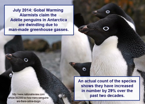 2014_07 Adelie penguin population increased 29 percent