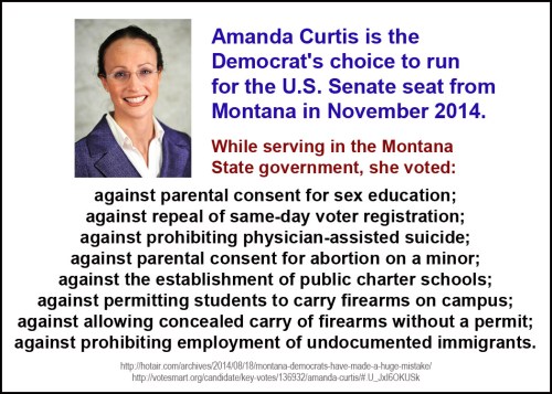 2014_08 Amanda Curtis MN Dem for US Senate
