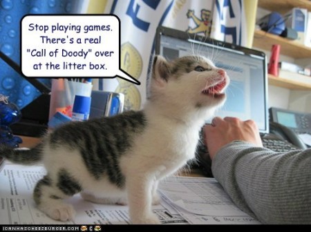 9d2b1_funny-cat-pictures-lolcats-stop-playing-games