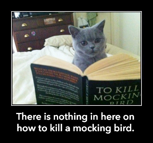 CAT To Kill a Mockingbird