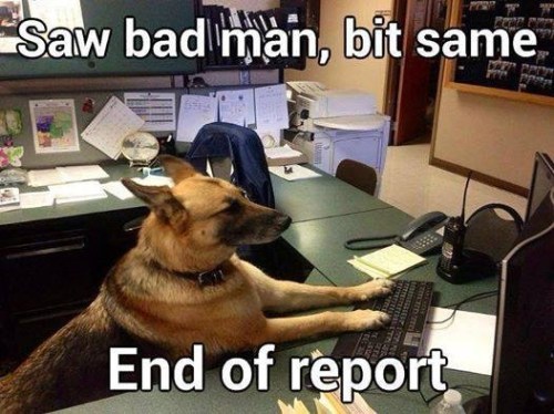 DOG K-9 police report
