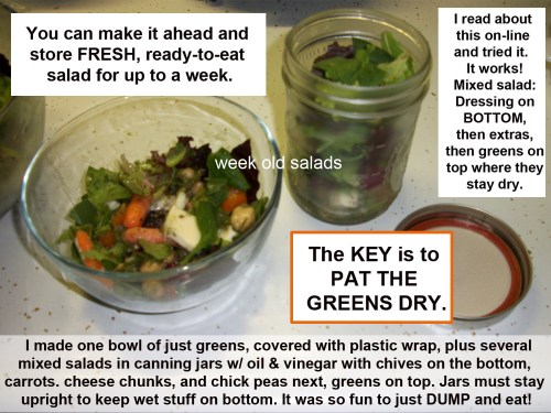 Mixed salad fresh for a week