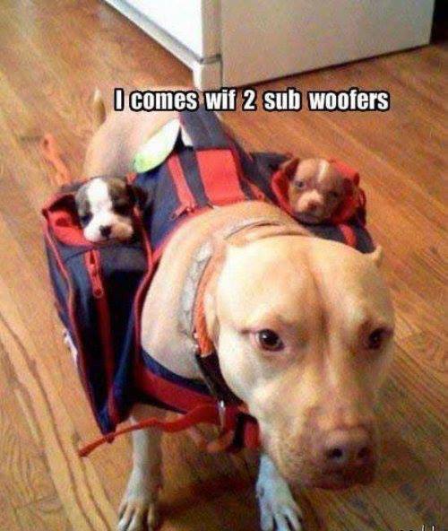 sub woofers