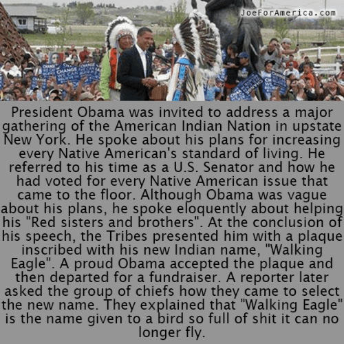 10151783_444209045712279_905740483_n