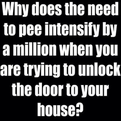 10310555_559067360882322_327077366681021442_n