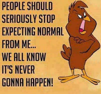 10440813_770081769716155_2081480745171088536_n