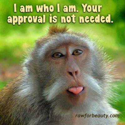 10460278_683811601694161_1395802778745522414_n