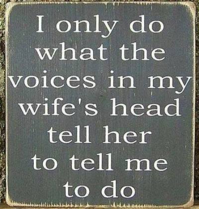 10488302_587505384705186_5079394880980810032_n