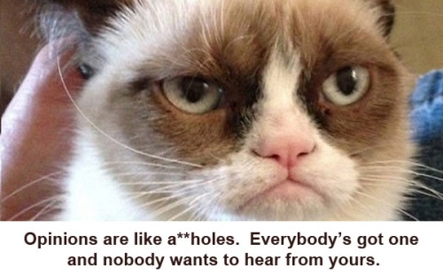 CAT Grumpy Cat - opinions are like aholes
