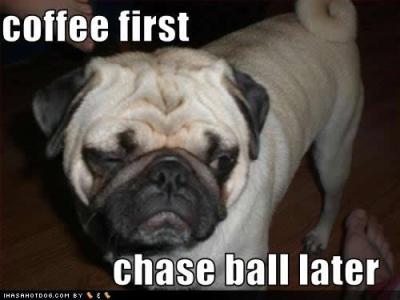 coffee-first-ball-later
