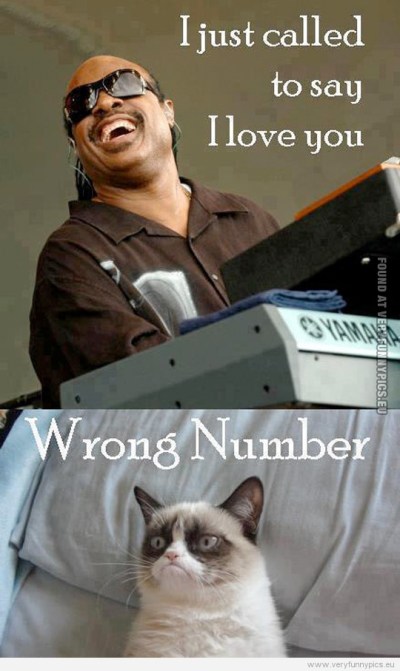 funny-picture-stevie-wonder-and-grumpy-cat