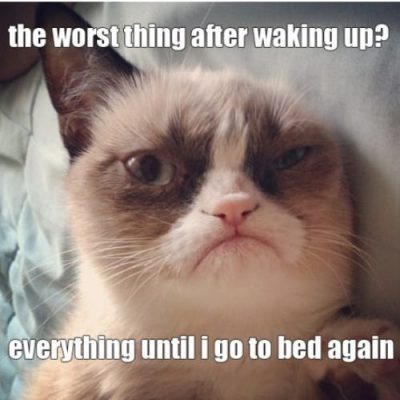 Grumpy-Cat-meme-comic