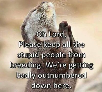 10176233_572128412903544_913743058809486966_n