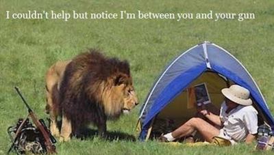 10371714_557082227729413_2326773696785382209_n