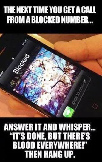 10487206_573683016069334_2977647284827009888_n