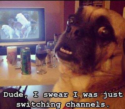 10500402_575440559226913_8179429521512840075_n