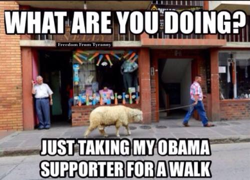 10649514_809885479057693_6651963360886047278_n-500x361