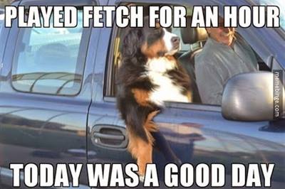 1937437_580161295421506_416421512772330485_n