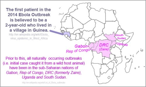 2014 Ebola - index case in Guinea
