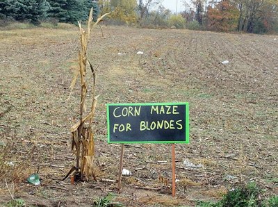 556669_305015939602711_2103398099_n