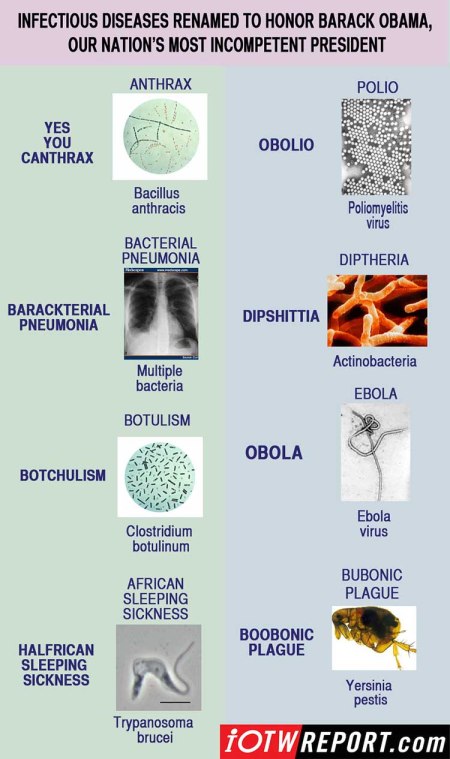 750x1266xINFECTIOUS_jpg_pagespeed_ic_qOc7KL68Bc