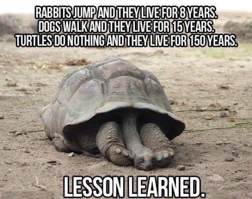 942488_10151618494834674_1110750871_n