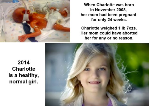 ABORTION Charlotte