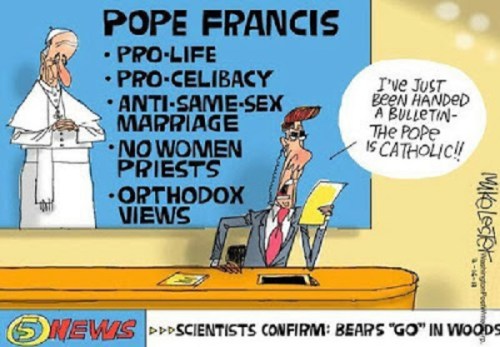 Pope is Catholic toon