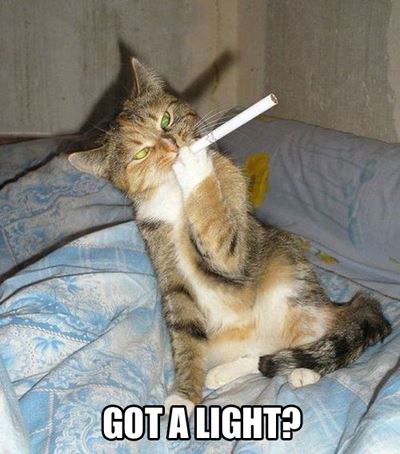 10346543_616260225144946_3176677015629063149_n