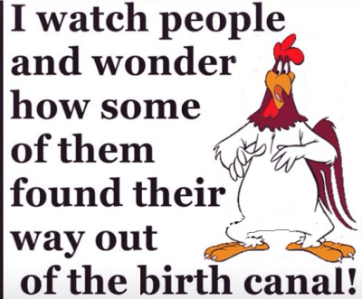 10382820_10154142266455058_2900381330291837327_n