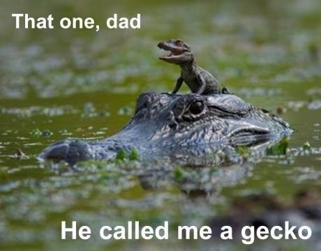 10435941_10154193283525058_770948269870198589_n